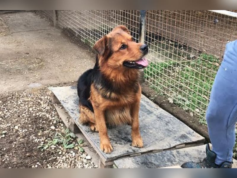 Milo – Harte Schale, weicher Kern