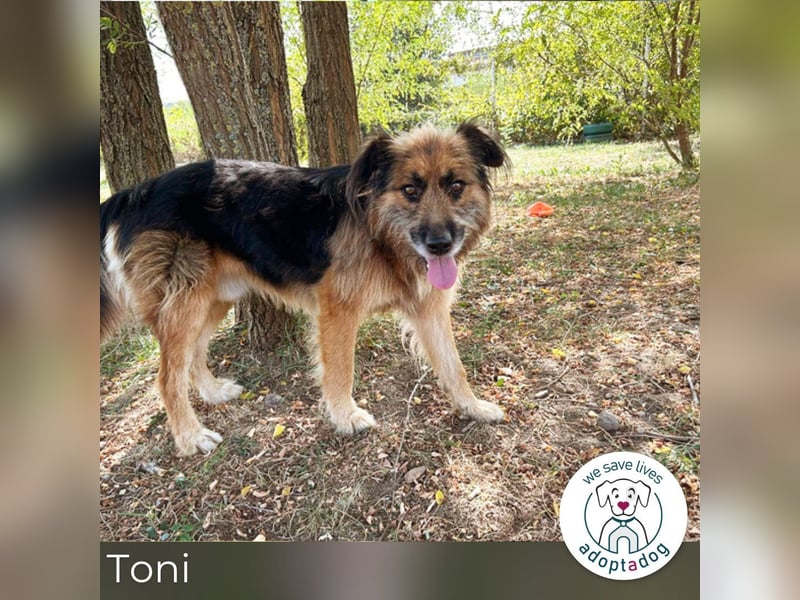 Toni: Freundlicher Entdecker