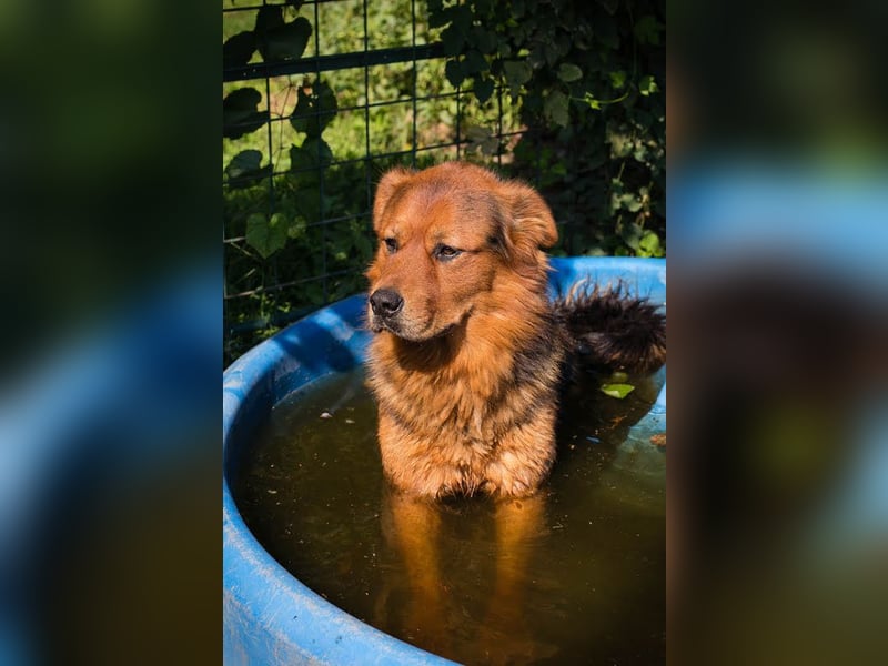 Milo – Harte Schale, weicher Kern