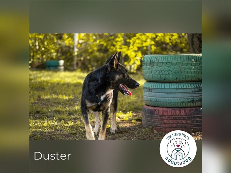 Duster: Vorsichtiger Gentleman
