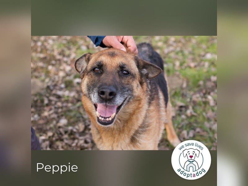 Peppie, lässt gern mal die Ohren hängen!