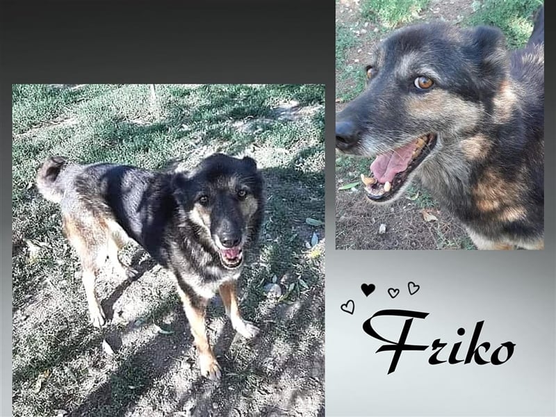 Hoppla! Hier kommt Friko!