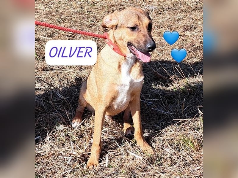 Ich heiße Oliver und möchte Rumänien ganz schnell verlassen