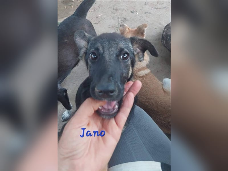 JANO