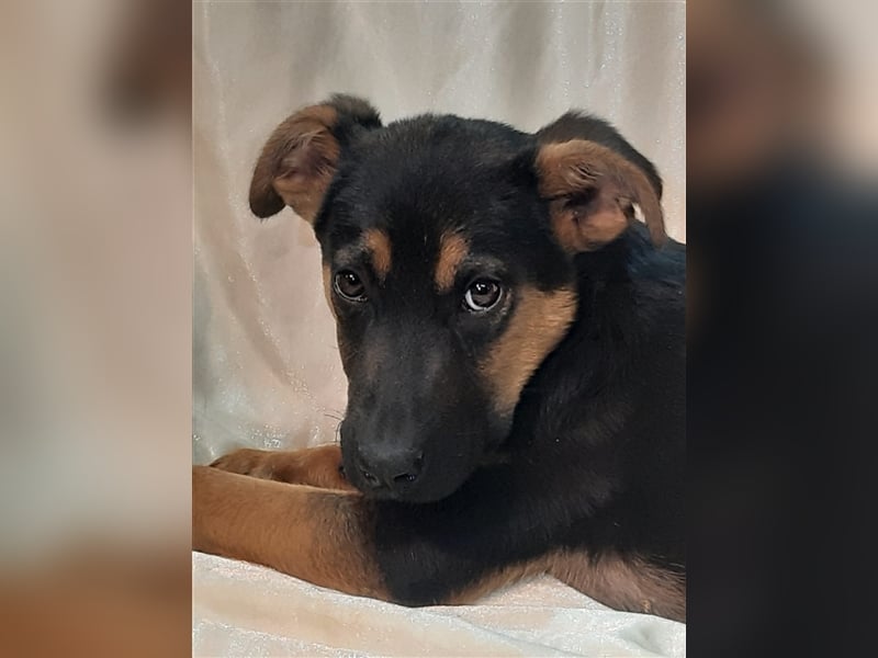 RESERVIERT Monty
