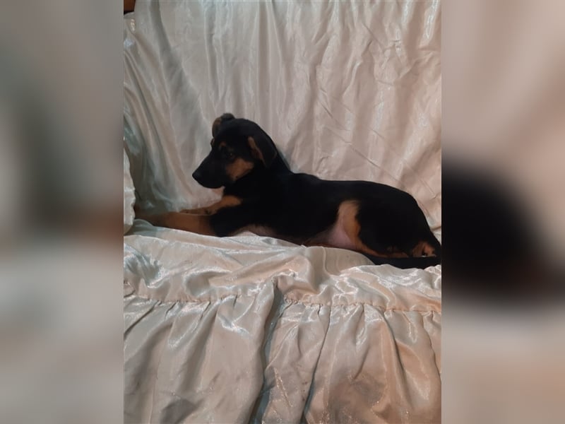 RESERVIERT Monty