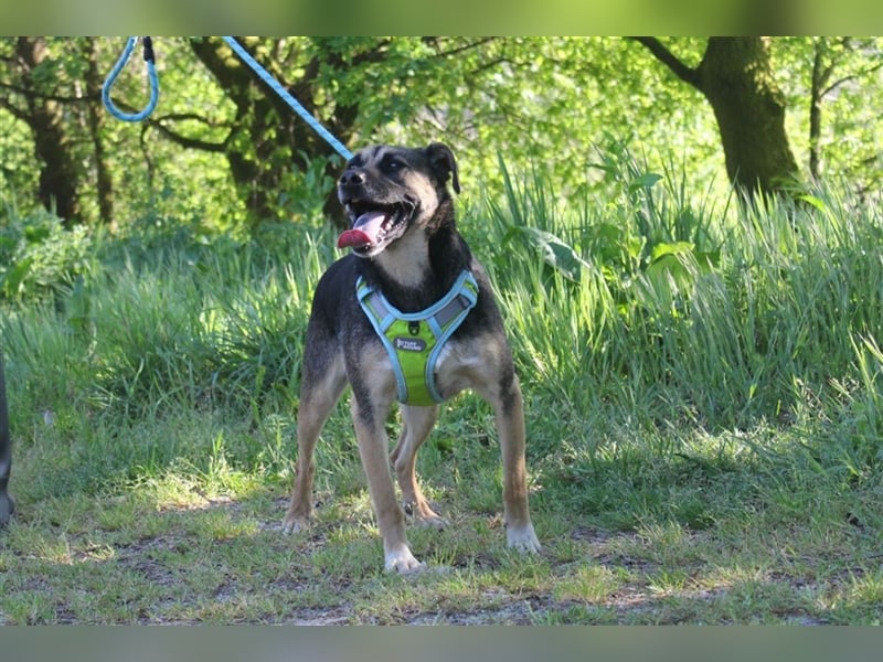 BRAVER BERT