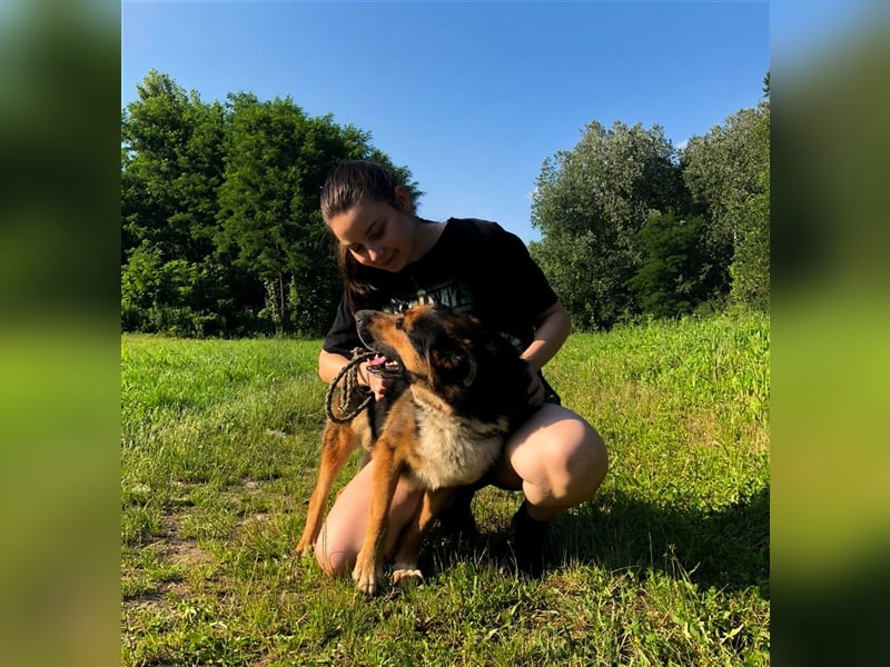 Pio - Vom Kettenhund zum Kuschelhelden