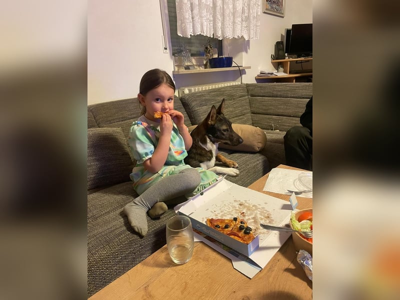 Barneby ❤️ - kleiner Pechvogel mit großem Herz sucht sein Für-immer-Zuhause