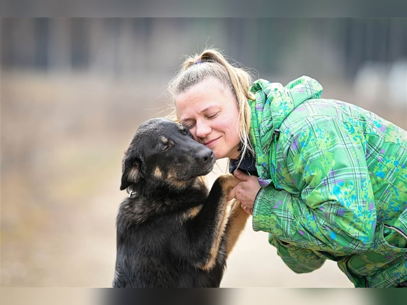 Tierheimhund Simba❤️sucht sein Zuhause