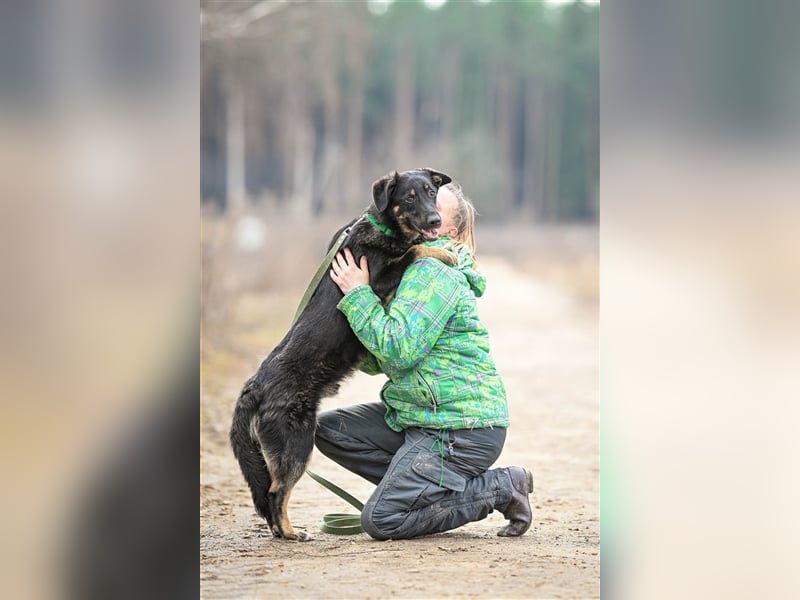 Tierheimhund Simba❤️sucht sein Zuhause