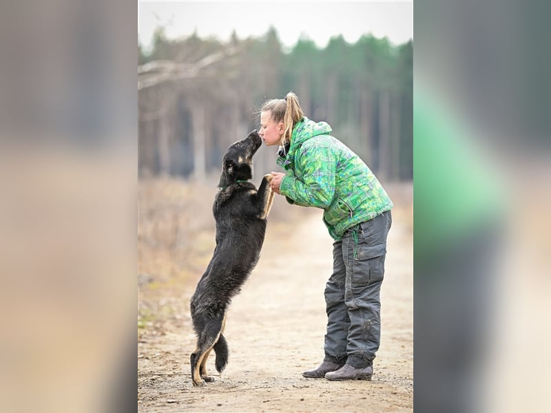 Tierheimhund Simba❤️sucht sein Zuhause