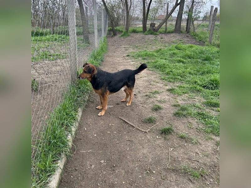 Happy End gesucht für Snickers ❤️