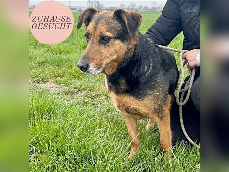 Happy End gesucht für Snickers ❤️