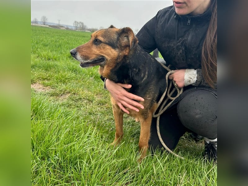 Happy End gesucht für Snickers ❤️