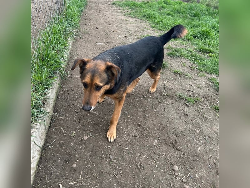 Happy End gesucht für Snickers ❤️