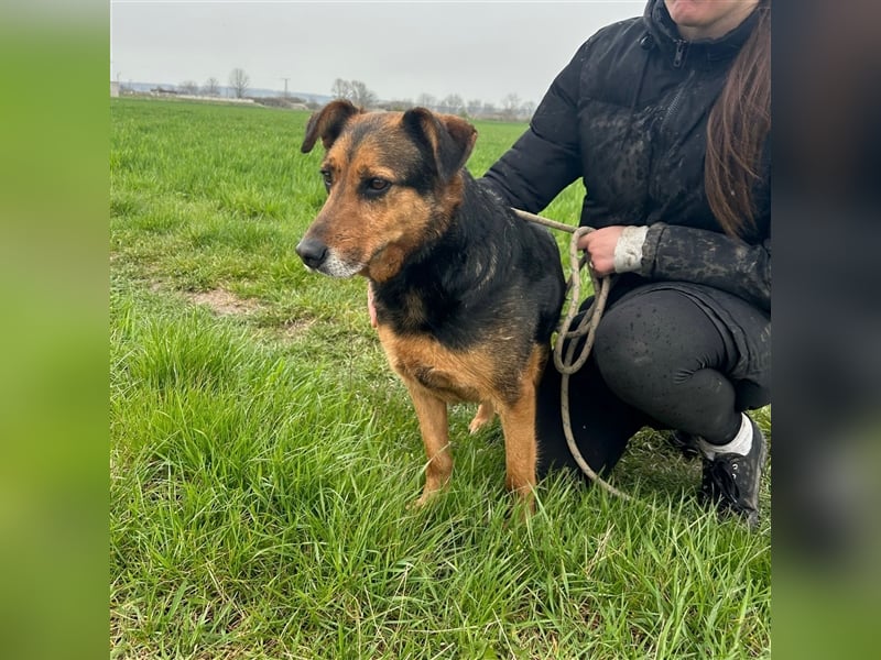 Happy End gesucht für Snickers ❤️