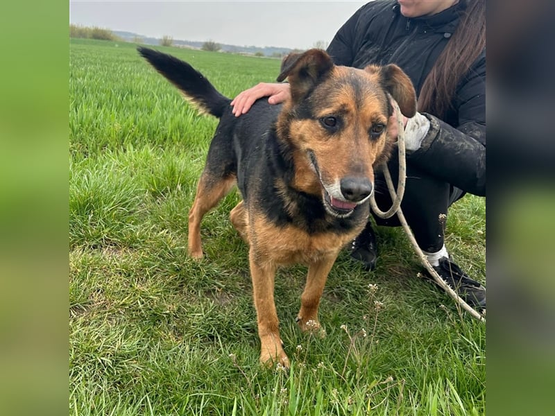 Happy End gesucht für Snickers ❤️