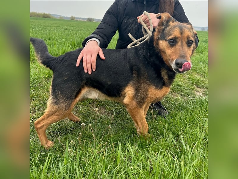 Happy End gesucht für Snickers ❤️