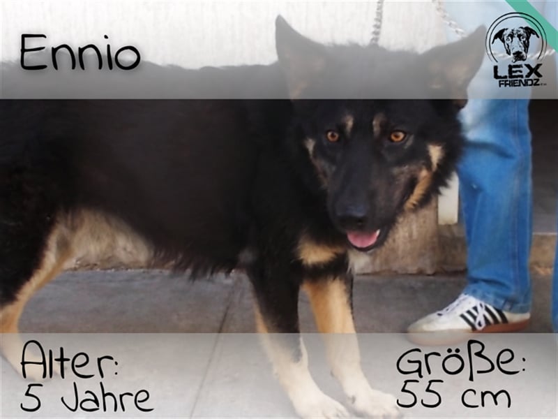 Ennio - großer Bub mit großem Herz