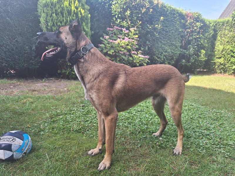 Knox