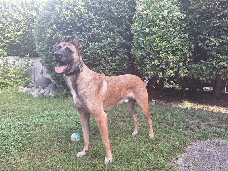 Knox