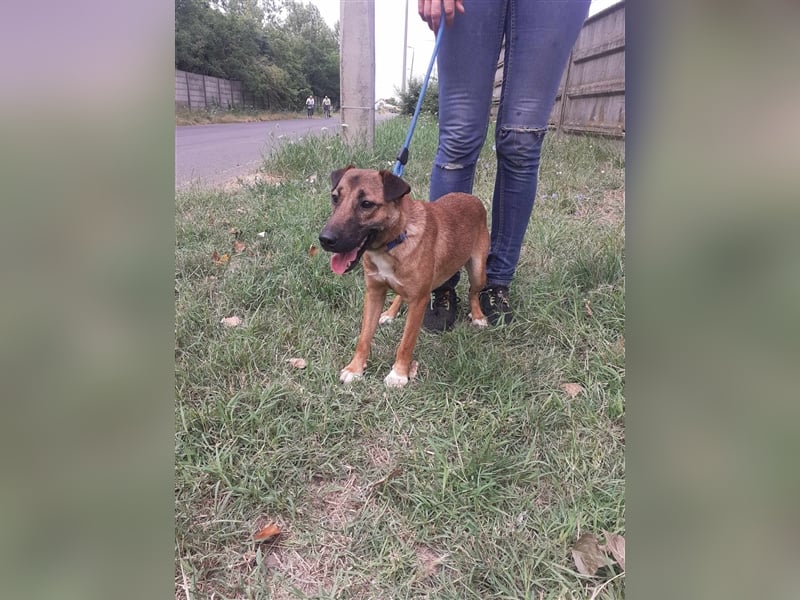 Schusebacke Hugo sucht seine Familie !