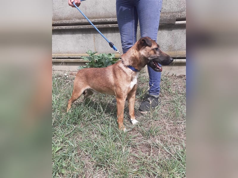 Schusebacke Hugo sucht seine Familie !