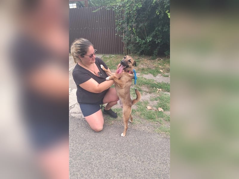 Schusebacke Hugo sucht seine Familie !