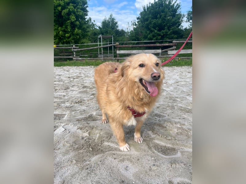 Süsser Piet sucht Kuschelpartner