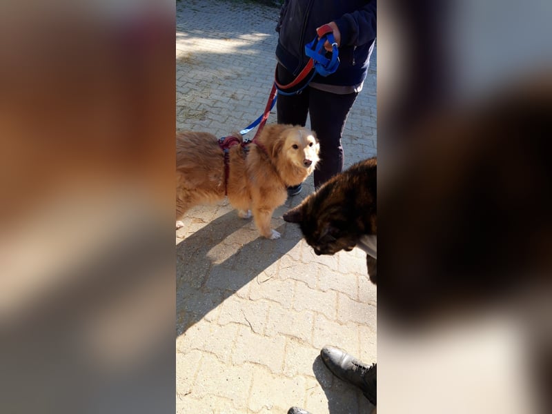 Süsser Piet sucht Kuschelpartner