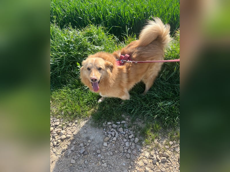 Süsser Piet sucht Kuschelpartner