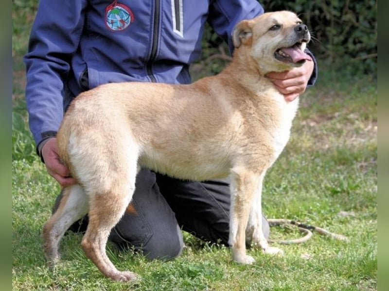 Stanwick - hat viel Nachholbedarf