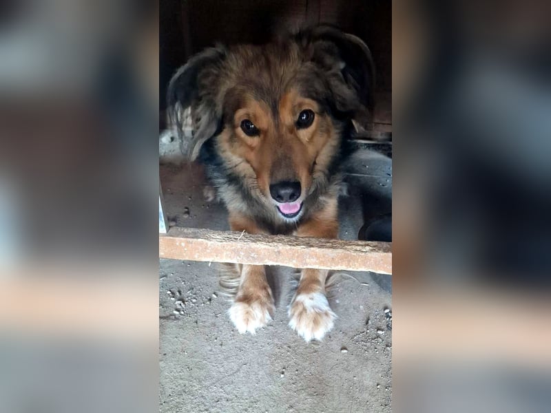 Wer schließt Hraklis in sein Herz?
