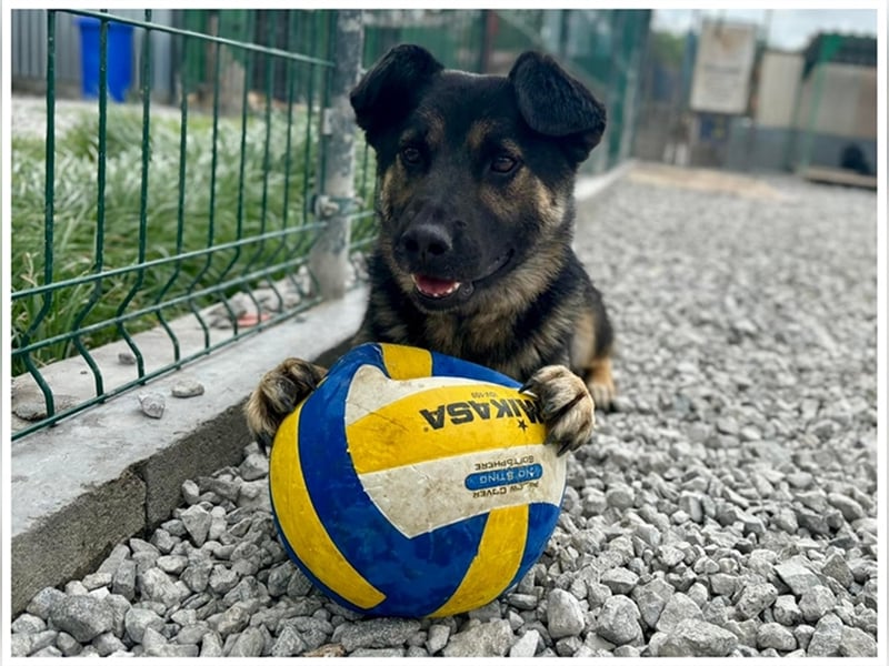 Marcus ist ein großartiger Partner