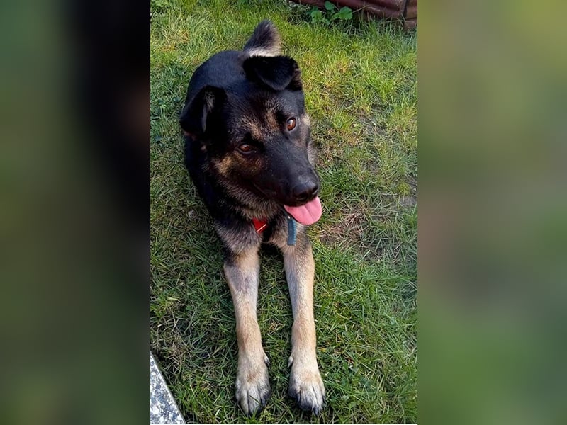 Marcus ist ein großartiger Partner
