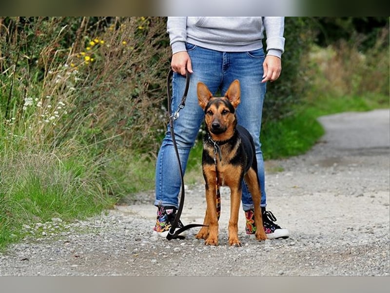 Rego möchte ein toller Begleiter werden