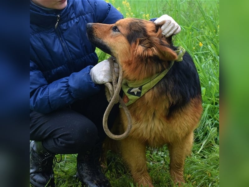 Igor F51 ist aufgeschlossen und lieb