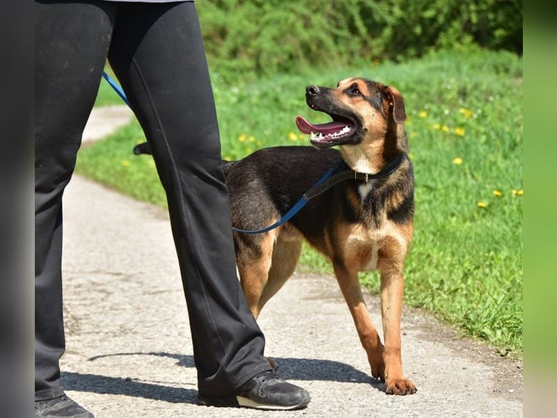 Balu S263 schließt Menschen schnell ins Herz