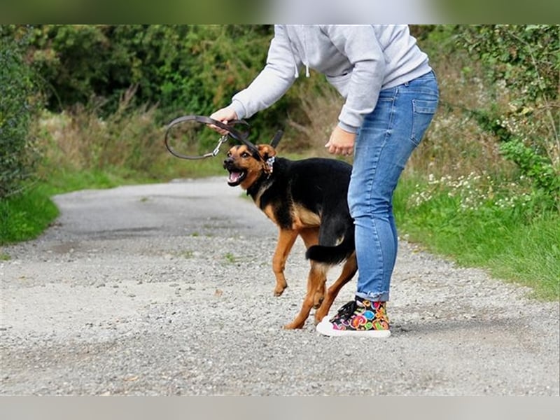 Rego möchte ein toller Begleiter werden