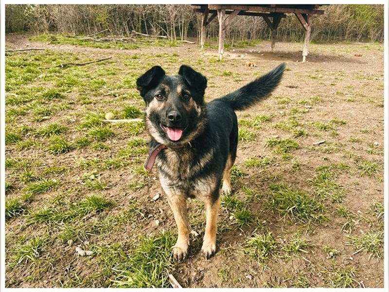 Marcus ist ein großartiger Partner