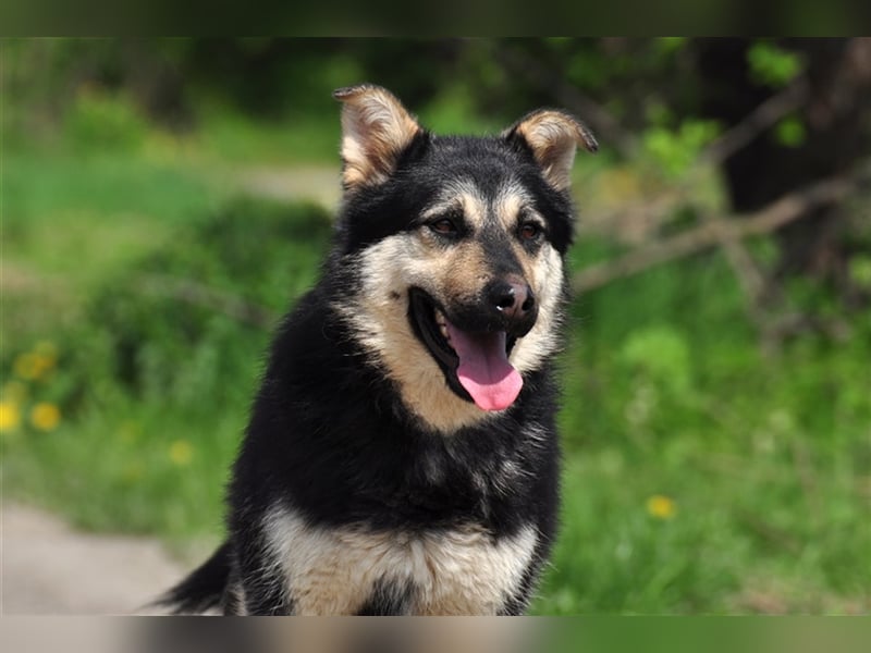 Teuško ist ein fröhlicher Wirbelwind