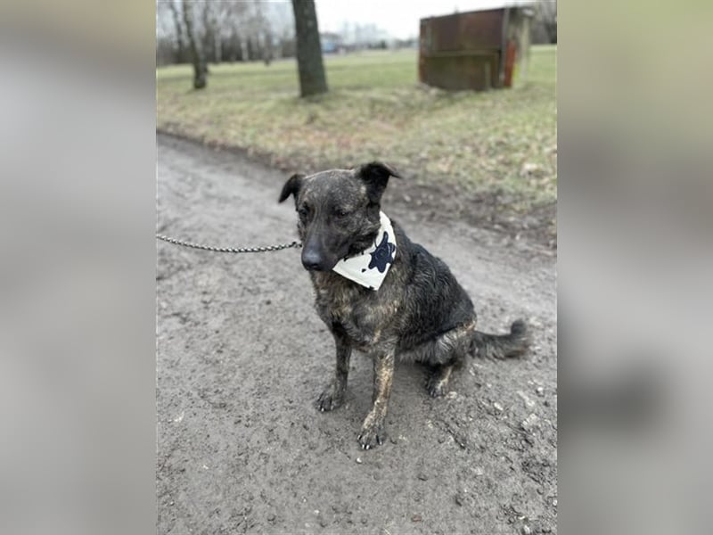 Carlos Y92 ist ein richtiger Charmeur