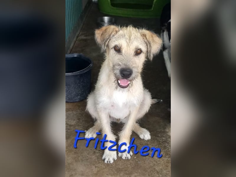 Unser liebevolles Fritzchen