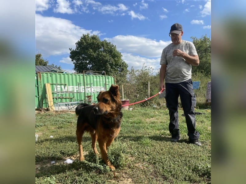 Samson, freundlich und aufgeschlossen