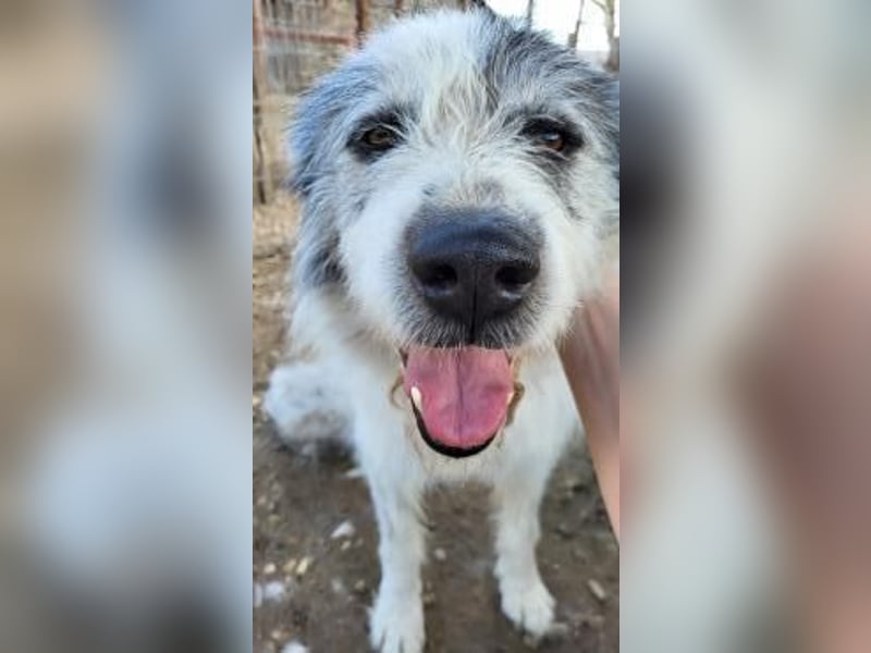 Senior EROS
