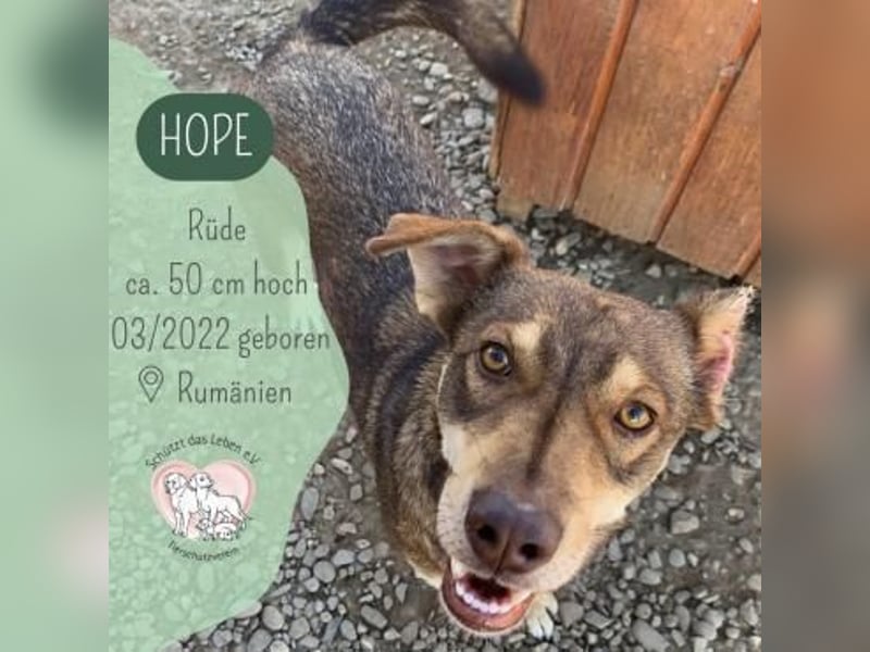 Hope - weil die Hoffnung zuletzt stirbt