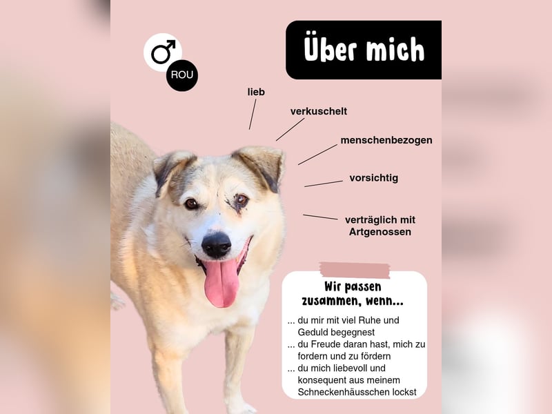 FLOKI - zeigst du mir die Welt?