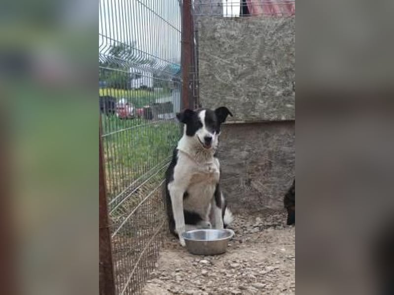 Kasper wünscht sich eine schöne Zukunft