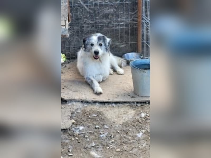 Senior EROS